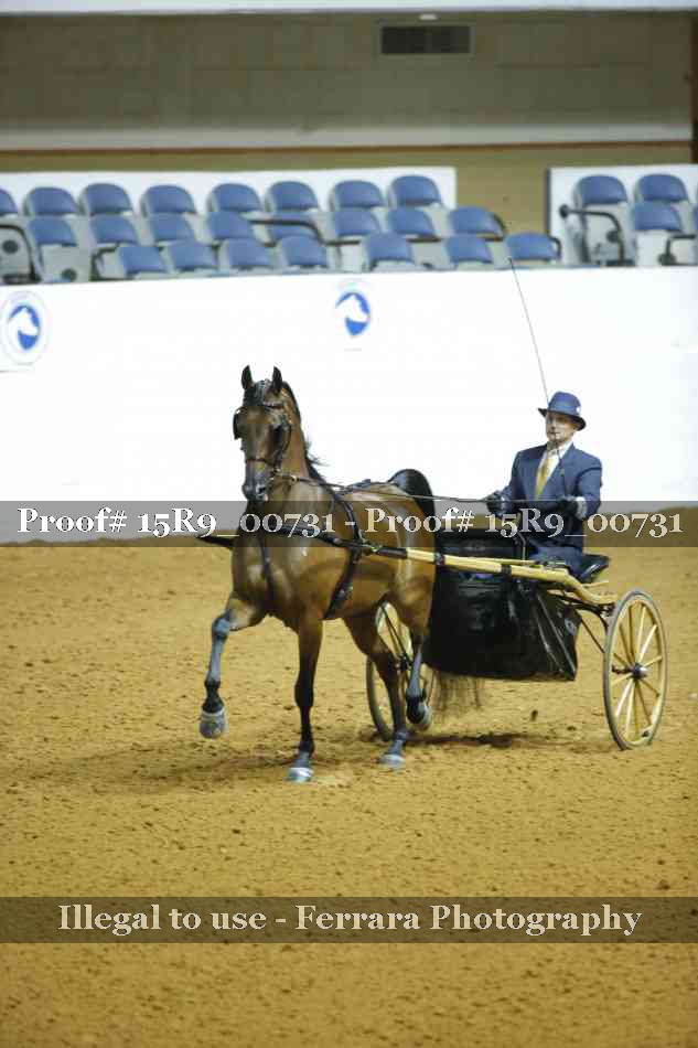Proof Number 15R9_00731
