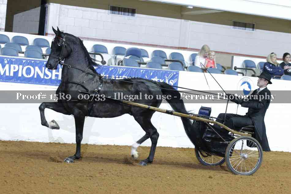 Proof Number 15R9_00733