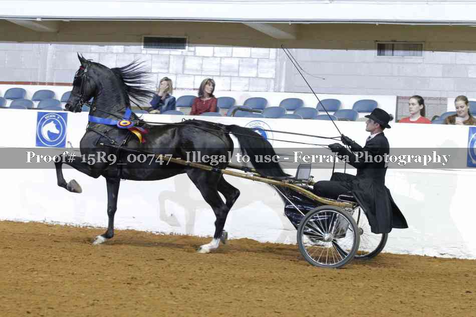 Proof Number 15R9_00747