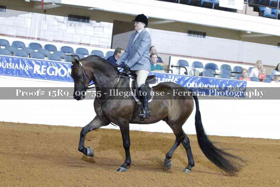 Proof Number 15R9_00755