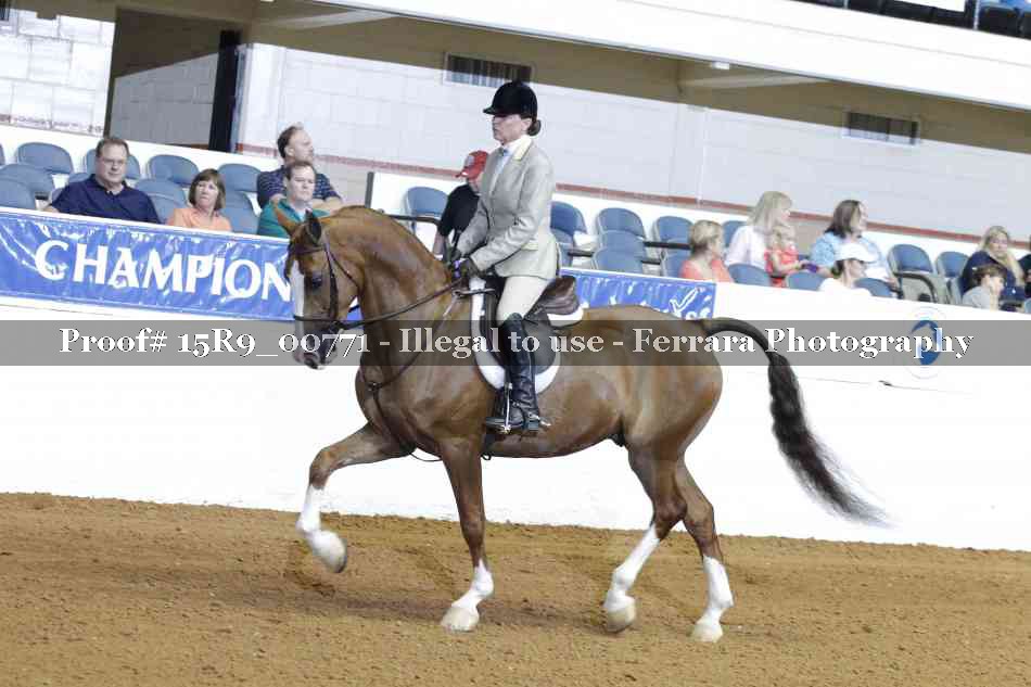 Proof Number 15R9_00771