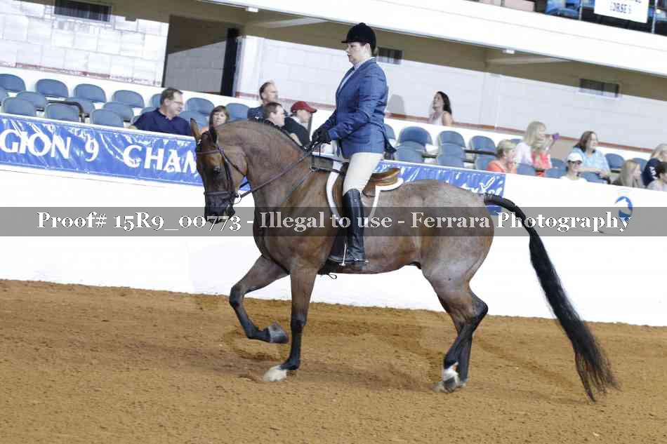 Proof Number 15R9_00773