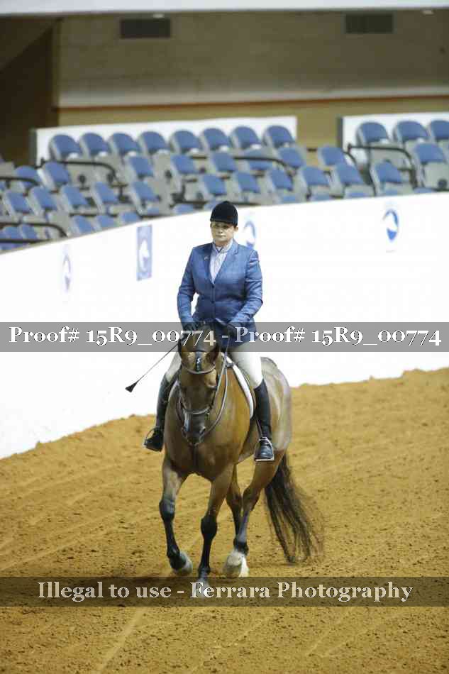 Proof Number 15R9_00774