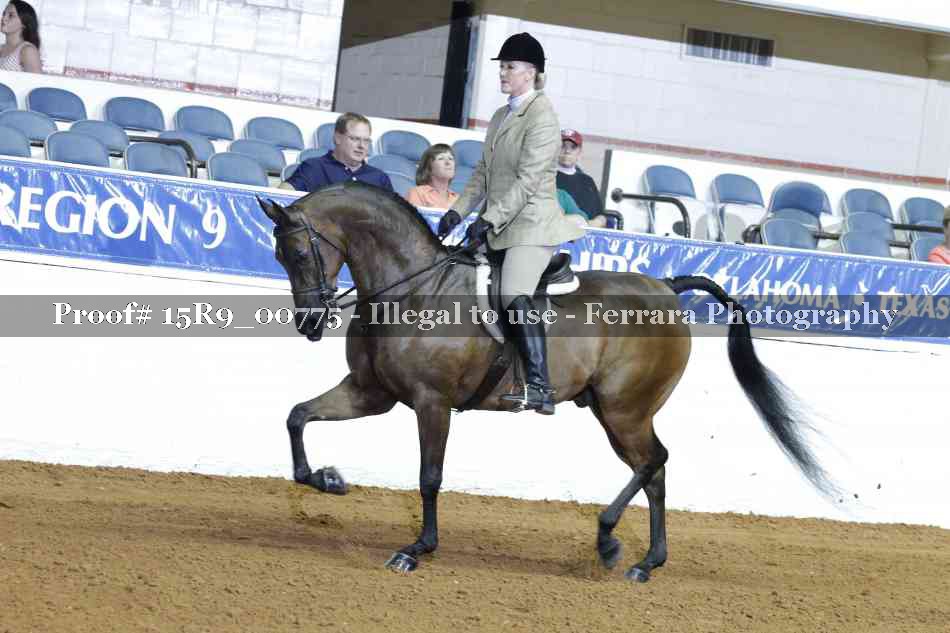 Proof Number 15R9_00775