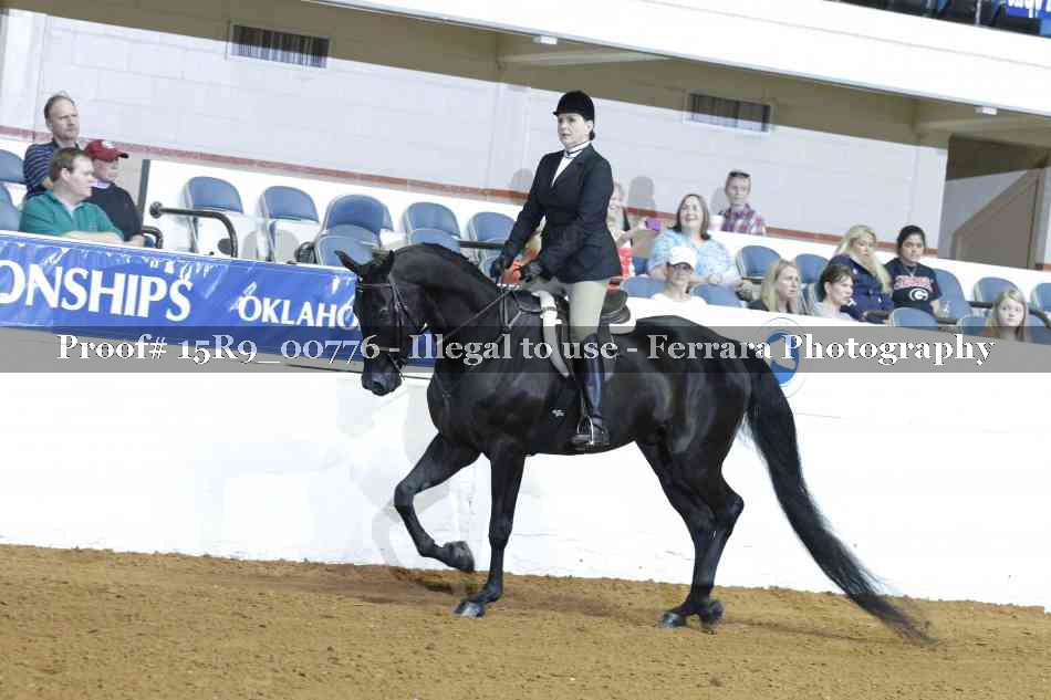 Proof Number 15R9_00776