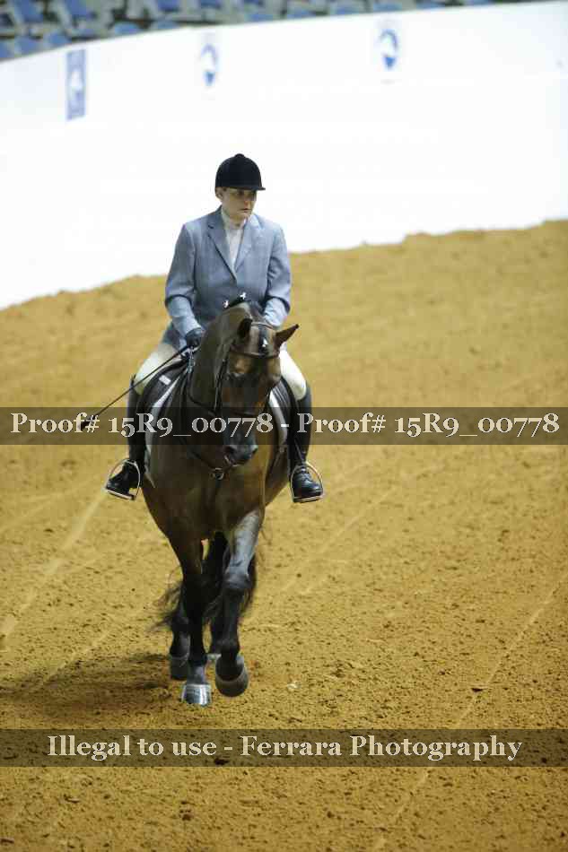 Proof Number 15R9_00778