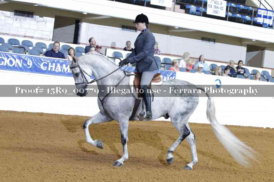 Proof Number 15R9_00779