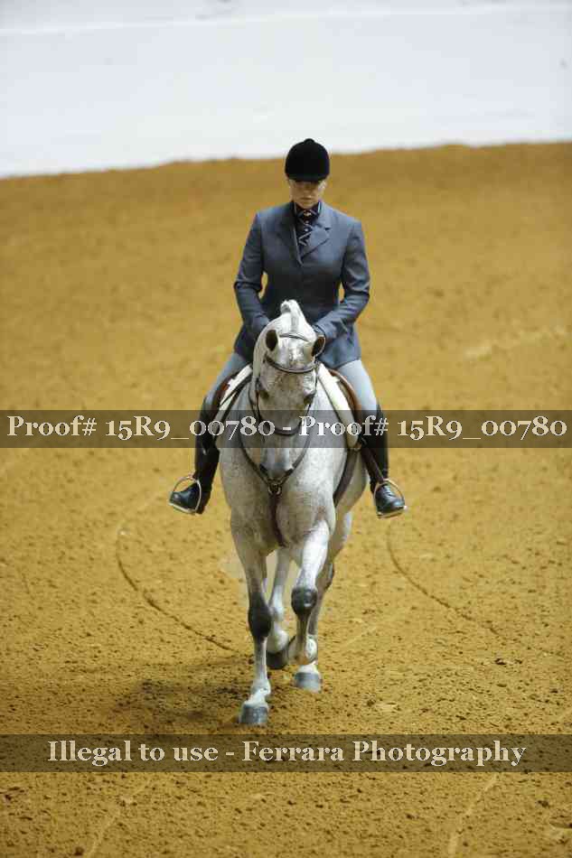 Proof Number 15R9_00780