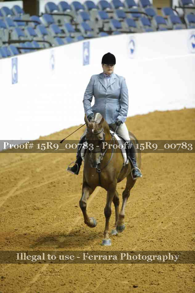 Proof Number 15R9_00783