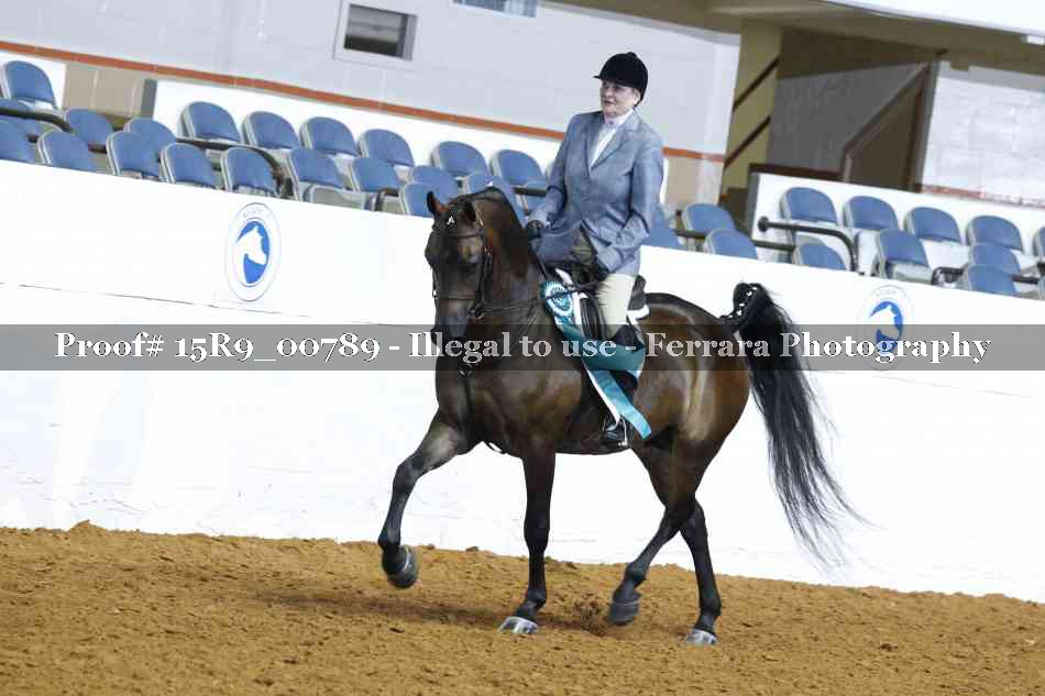 Proof Number 15R9_00789