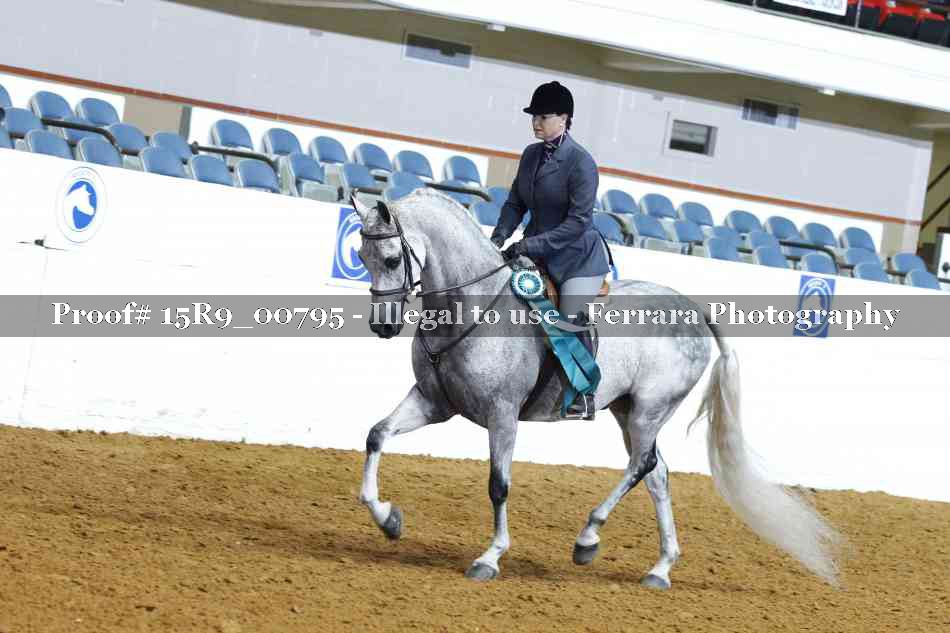 Proof Number 15R9_00795