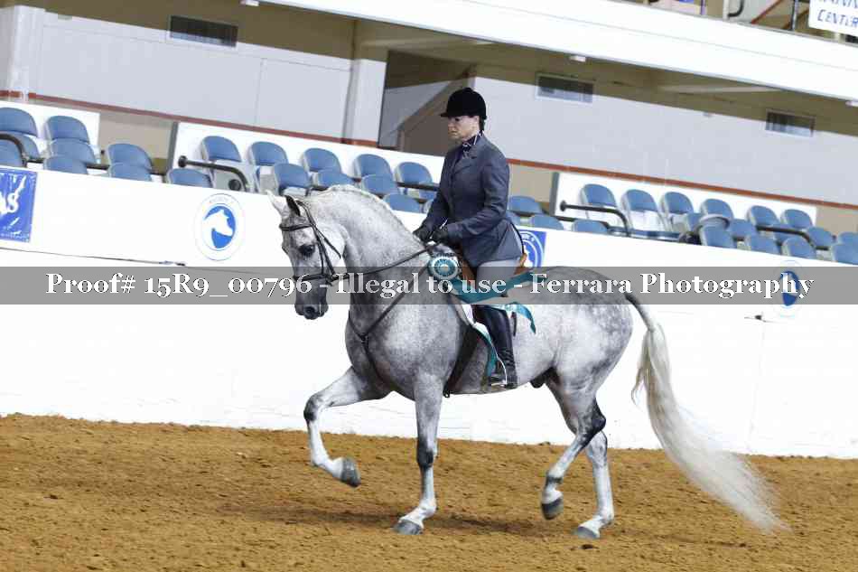 Proof Number 15R9_00796
