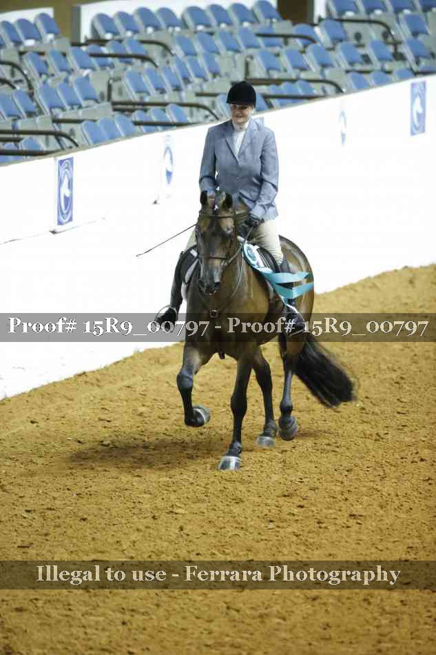 Proof Number 15R9_00797