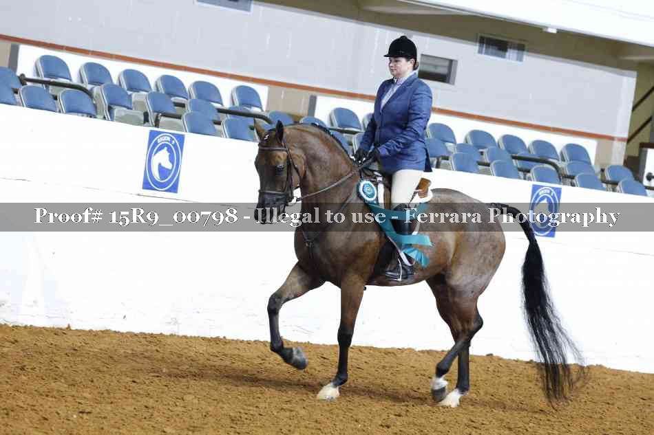 Proof Number 15R9_00798