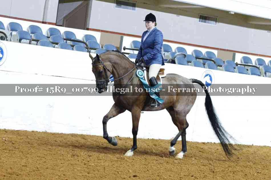 Proof Number 15R9_00799