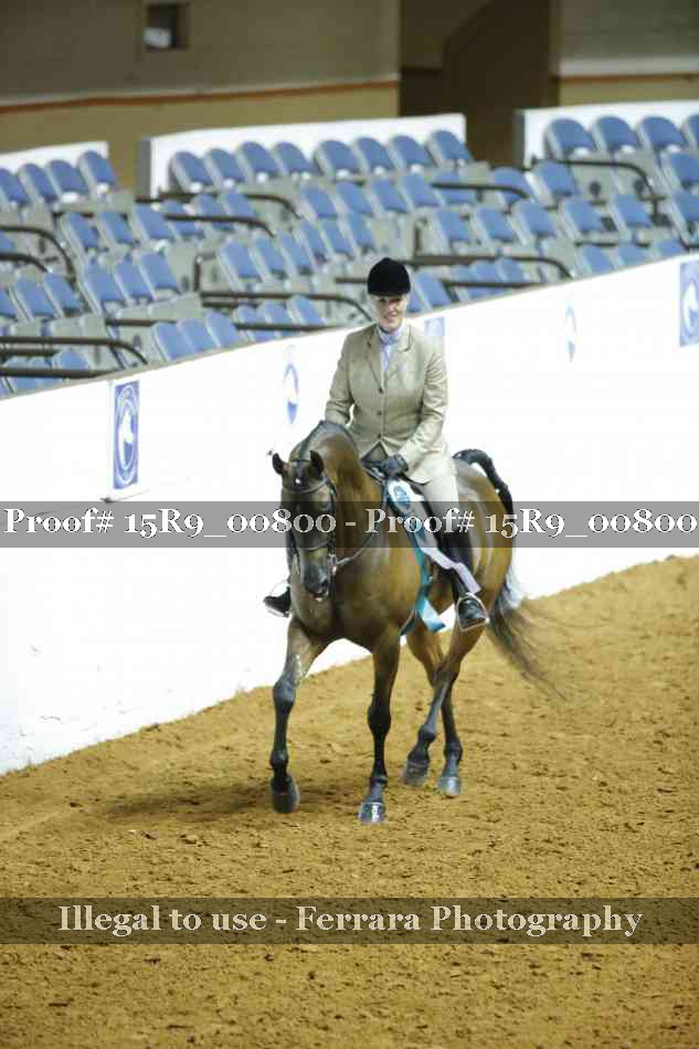 Proof Number 15R9_00800