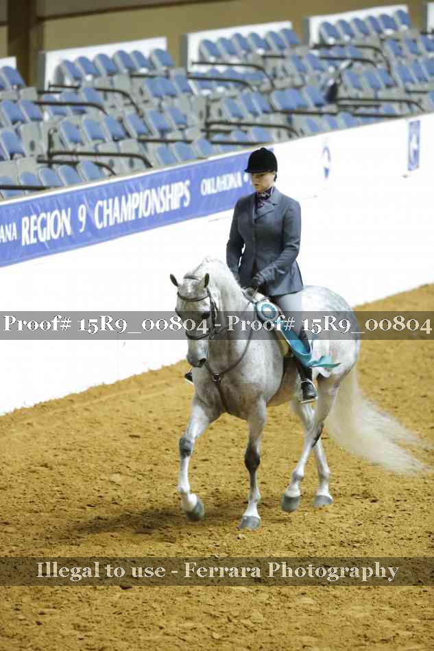 Proof Number 15R9_00804