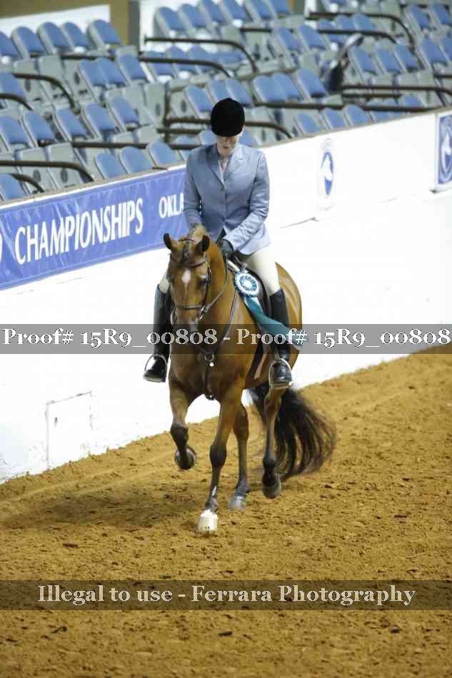 Proof Number 15R9_00808