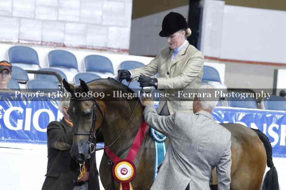 Proof Number 15R9_00809