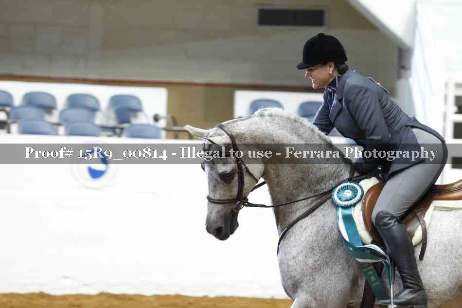 Proof Number 15R9_00814