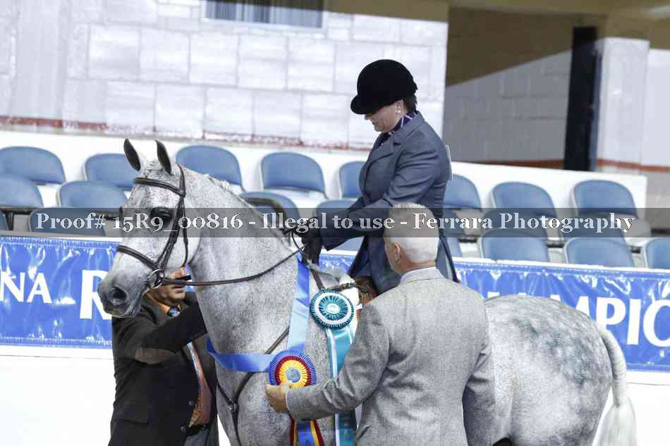 Proof Number 15R9_00816