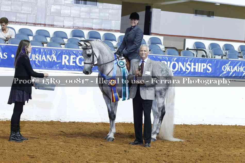Proof Number 15R9_00817
