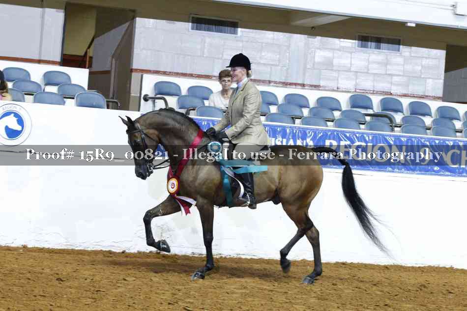 Proof Number 15R9_00821