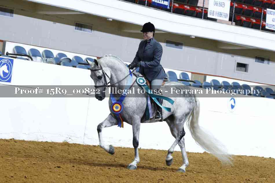 Proof Number 15R9_00822