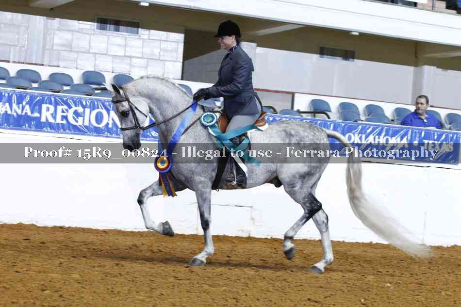 Proof Number 15R9_00824