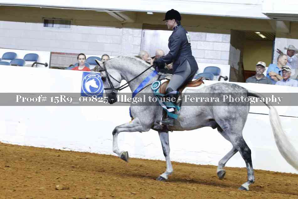 Proof Number 15R9_00825