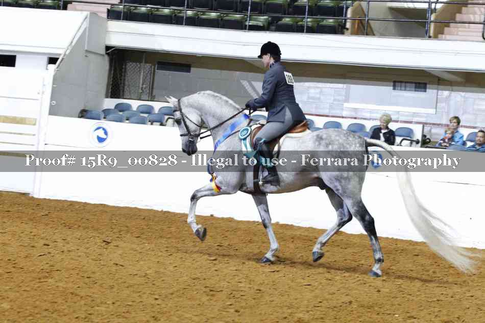 Proof Number 15R9_00828