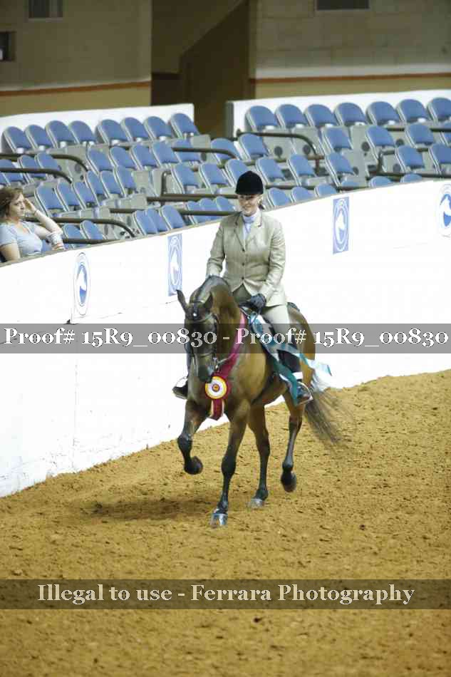 Proof Number 15R9_00830