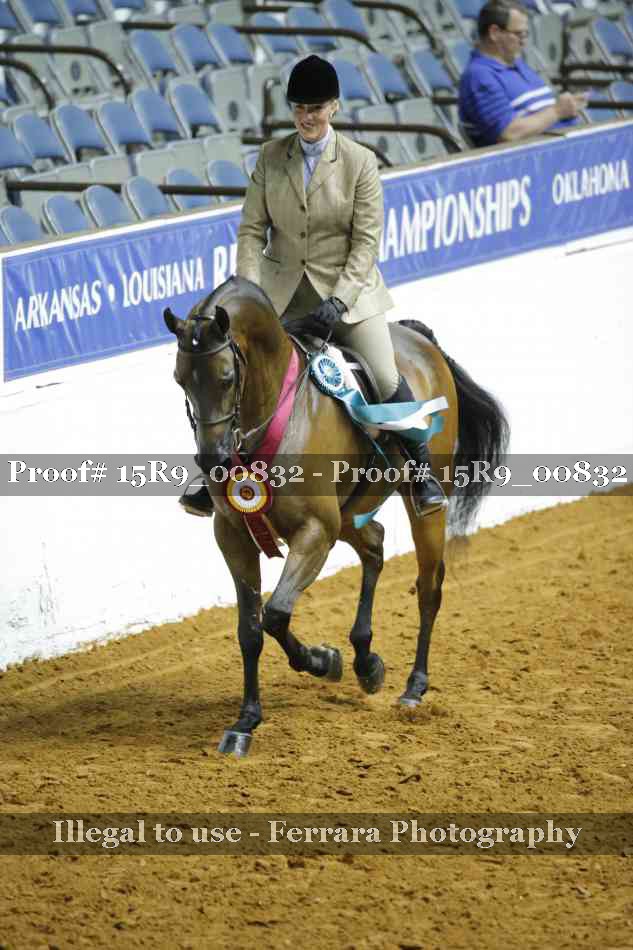 Proof Number 15R9_00832
