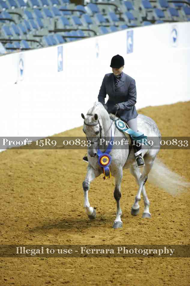 Proof Number 15R9_00833