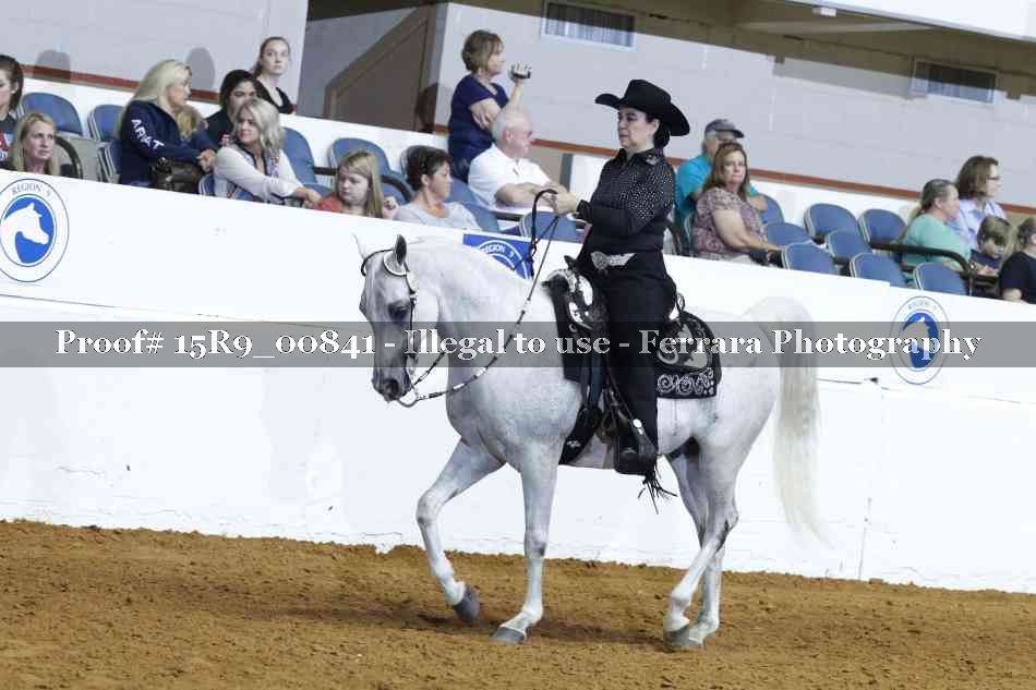 Proof Number 15R9_00841