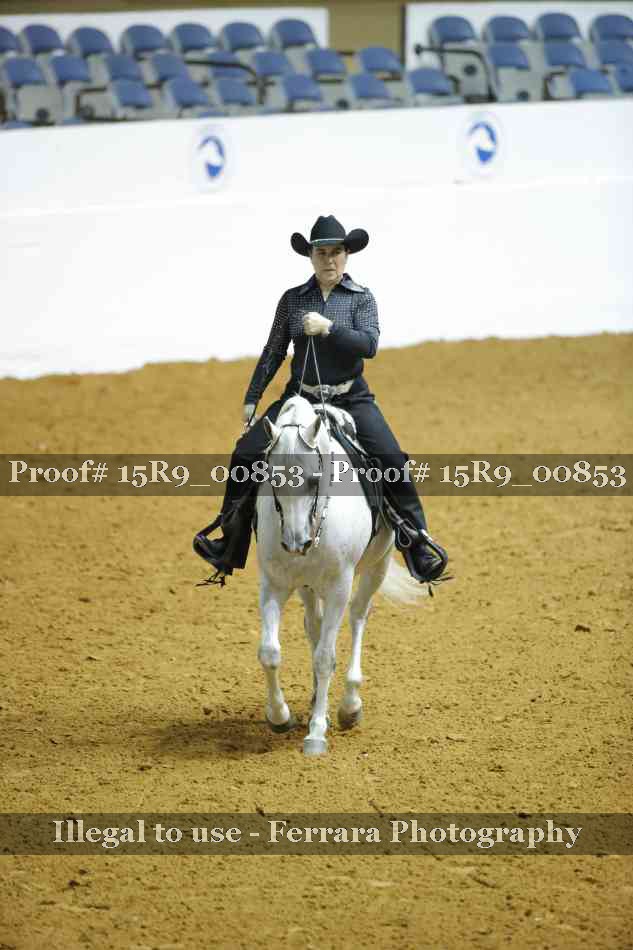 Proof Number 15R9_00853