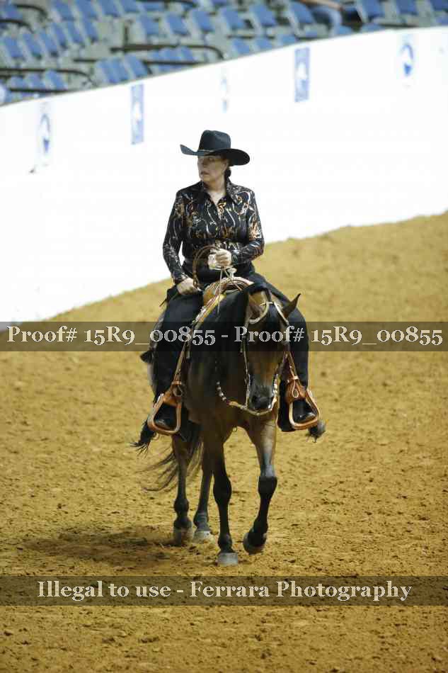 Proof Number 15R9_00855