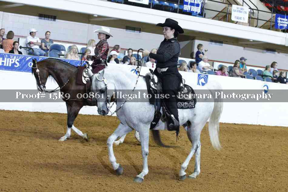 Proof Number 15R9_00861