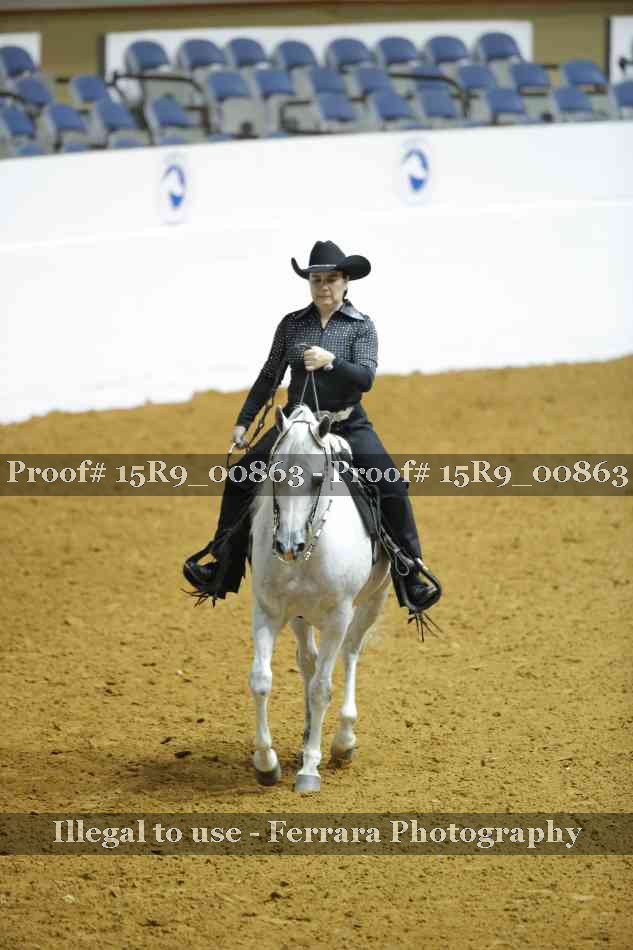Proof Number 15R9_00863