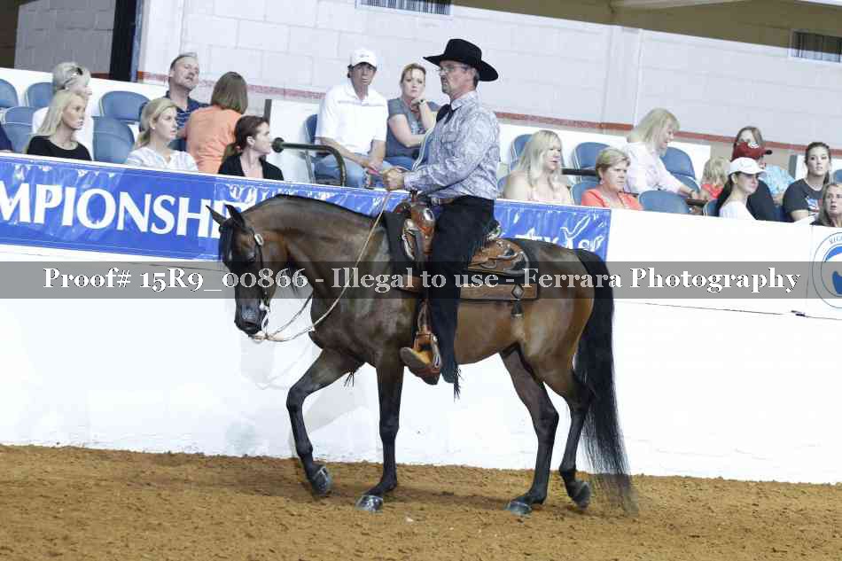 Proof Number 15R9_00866
