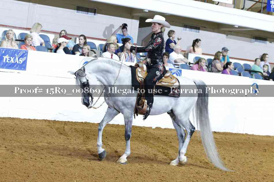 Proof Number 15R9_00869