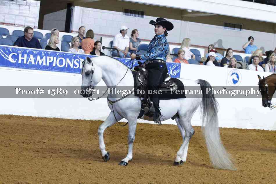 Proof Number 15R9_00871