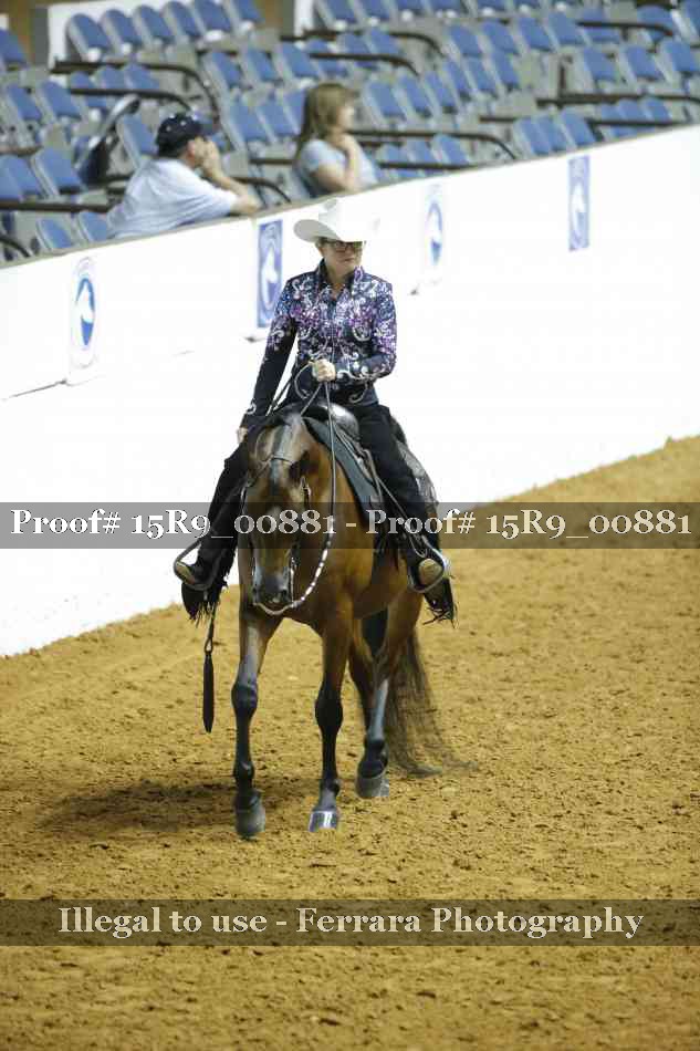 Proof Number 15R9_00881