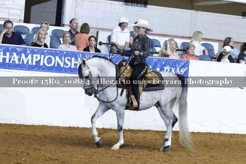 Proof Number 15R9_00884