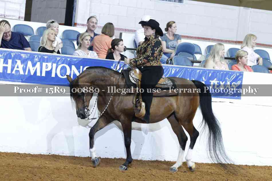 Proof Number 15R9_00889