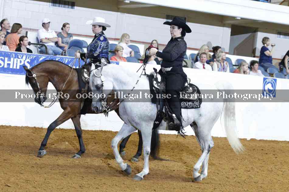 Proof Number 15R9_00890