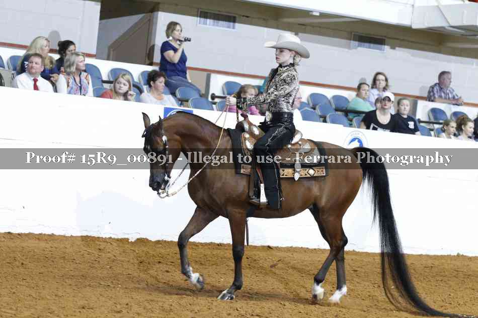 Proof Number 15R9_00891