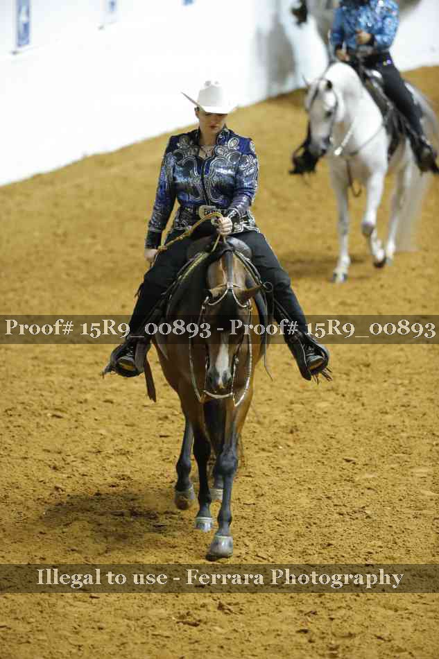 Proof Number 15R9_00893