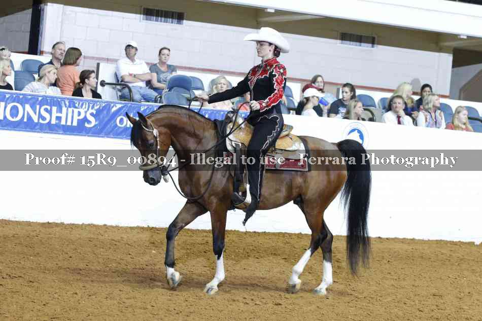 Proof Number 15R9_00894