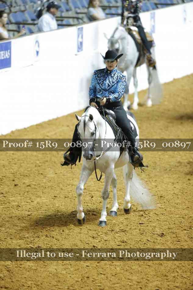 Proof Number 15R9_00897